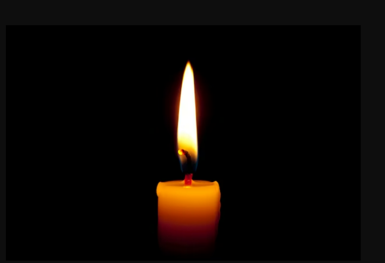 Traurige Nachricht aus der TV-Branche - Traumschiff- und Tatort-Star gestorben