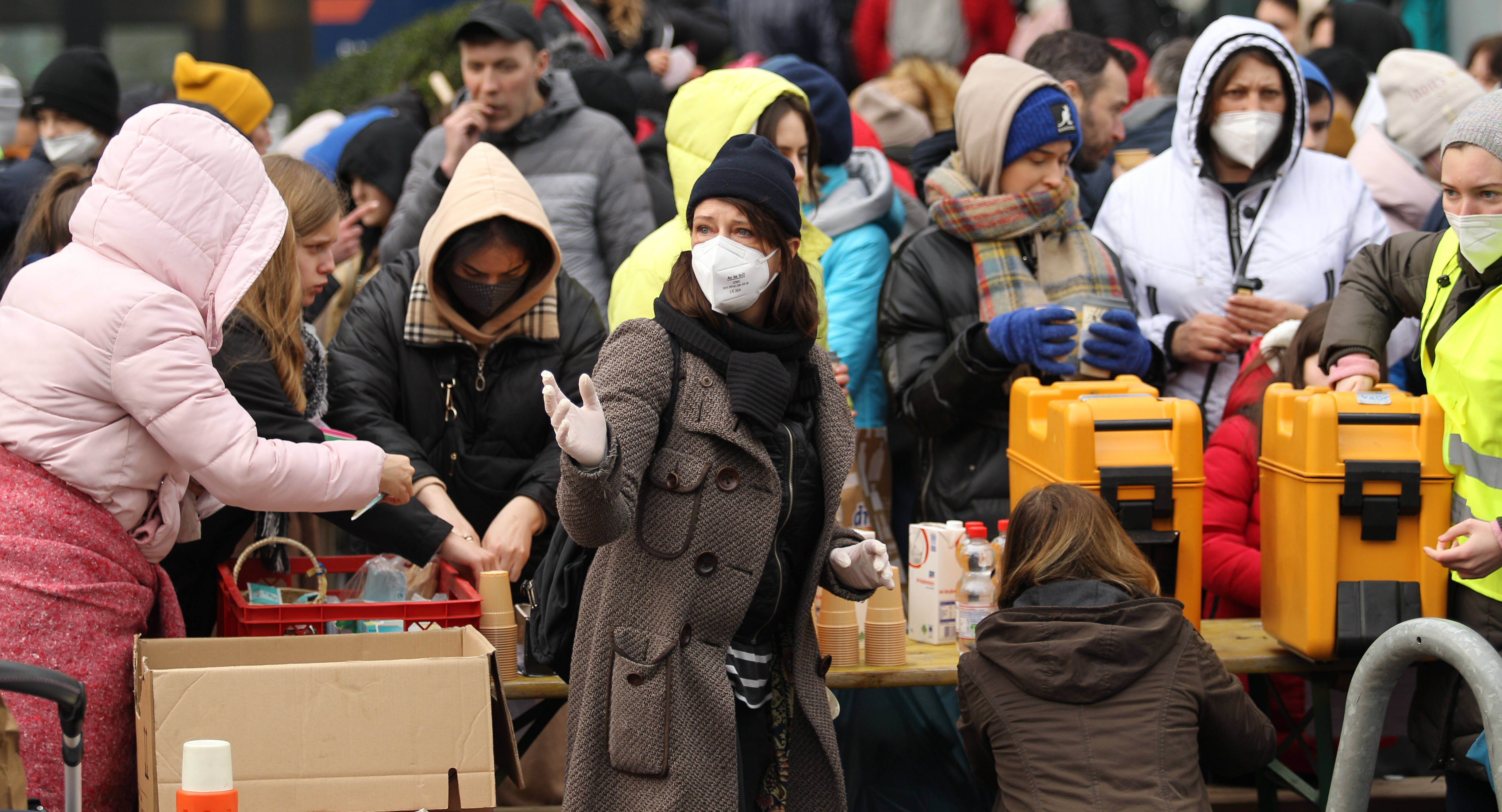 Kein Geld mehr für Flüchtlinge ab November? Das ist der drastische Plan der Ampel-Partei!