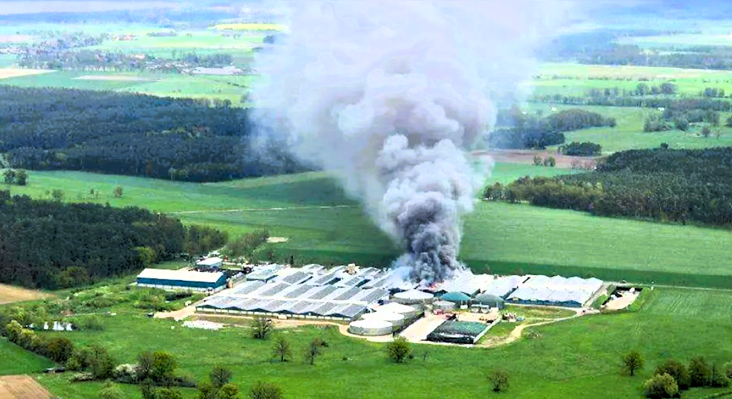 Feuerinferno tötet 20.000 Schweine in Mastanlage! Feuerwehr kämpft gegen Großrand