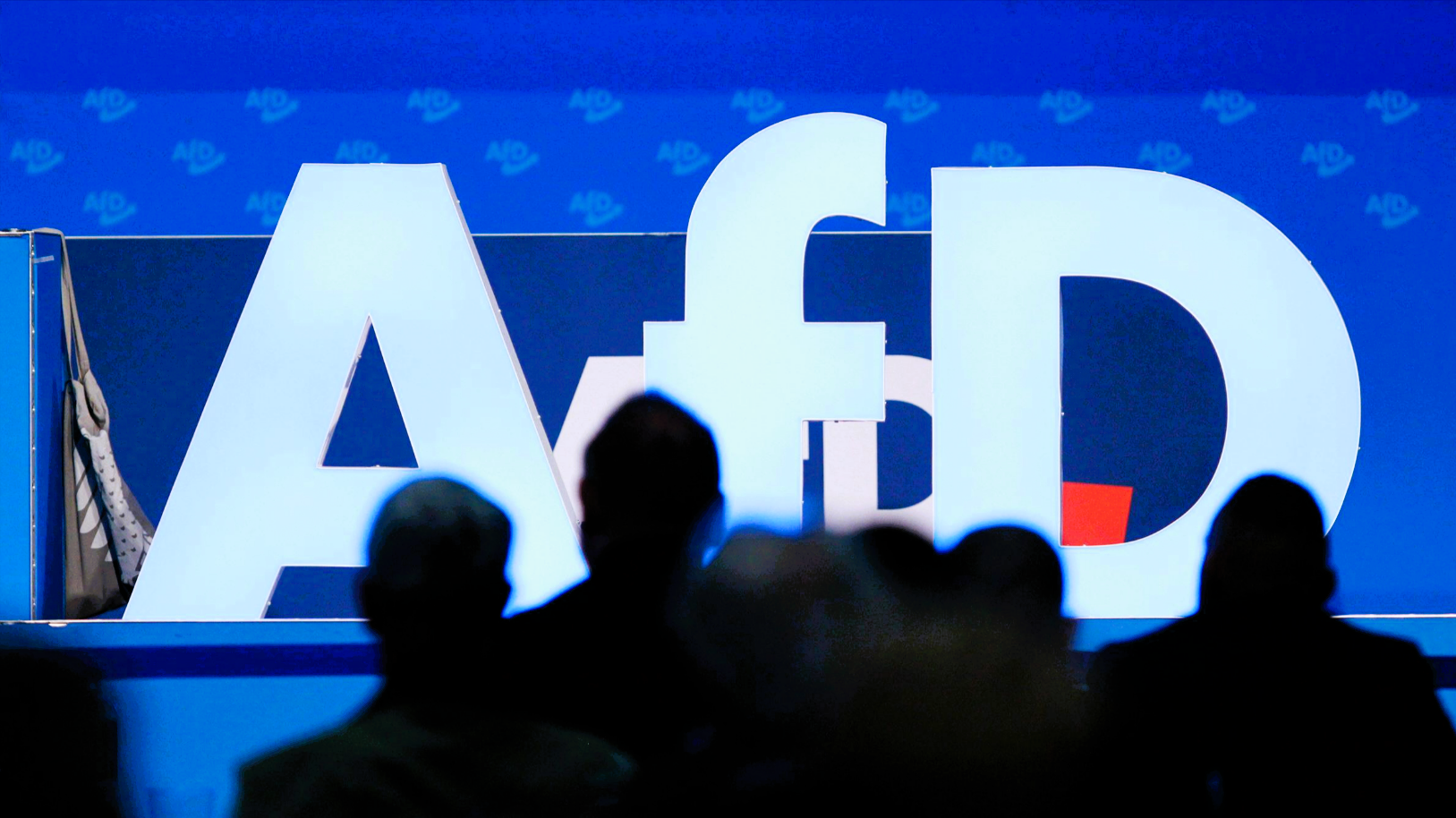 AFD-Politikerin schafft Kinder heimlich nach Russland? Politikerin beklagt Verfolgung in Deutschland und taucht ab