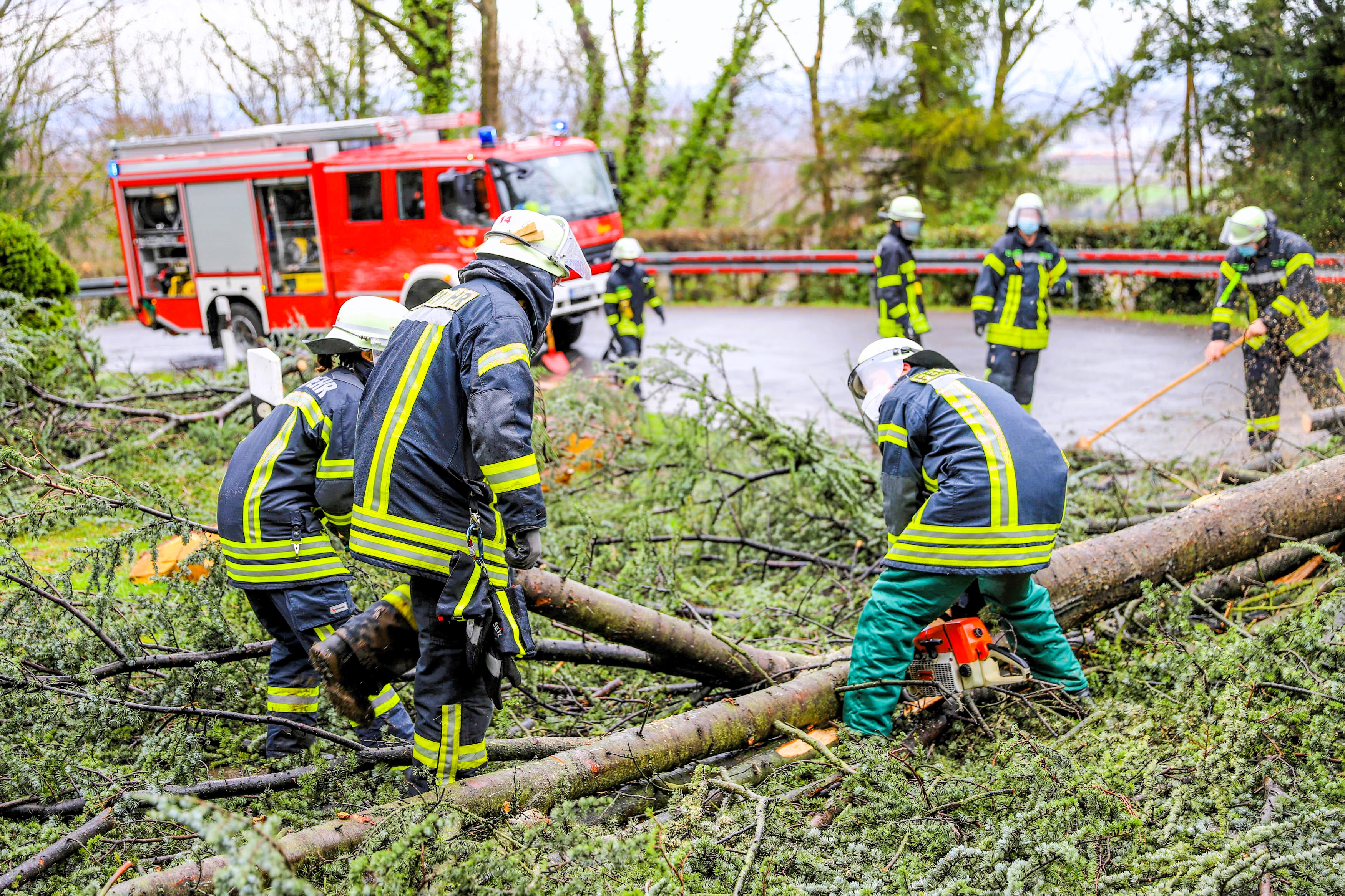 Frau vom Baum erschlagen! Sturmböen entwurzeln Baum – Frau stirbt beim Rauchen!